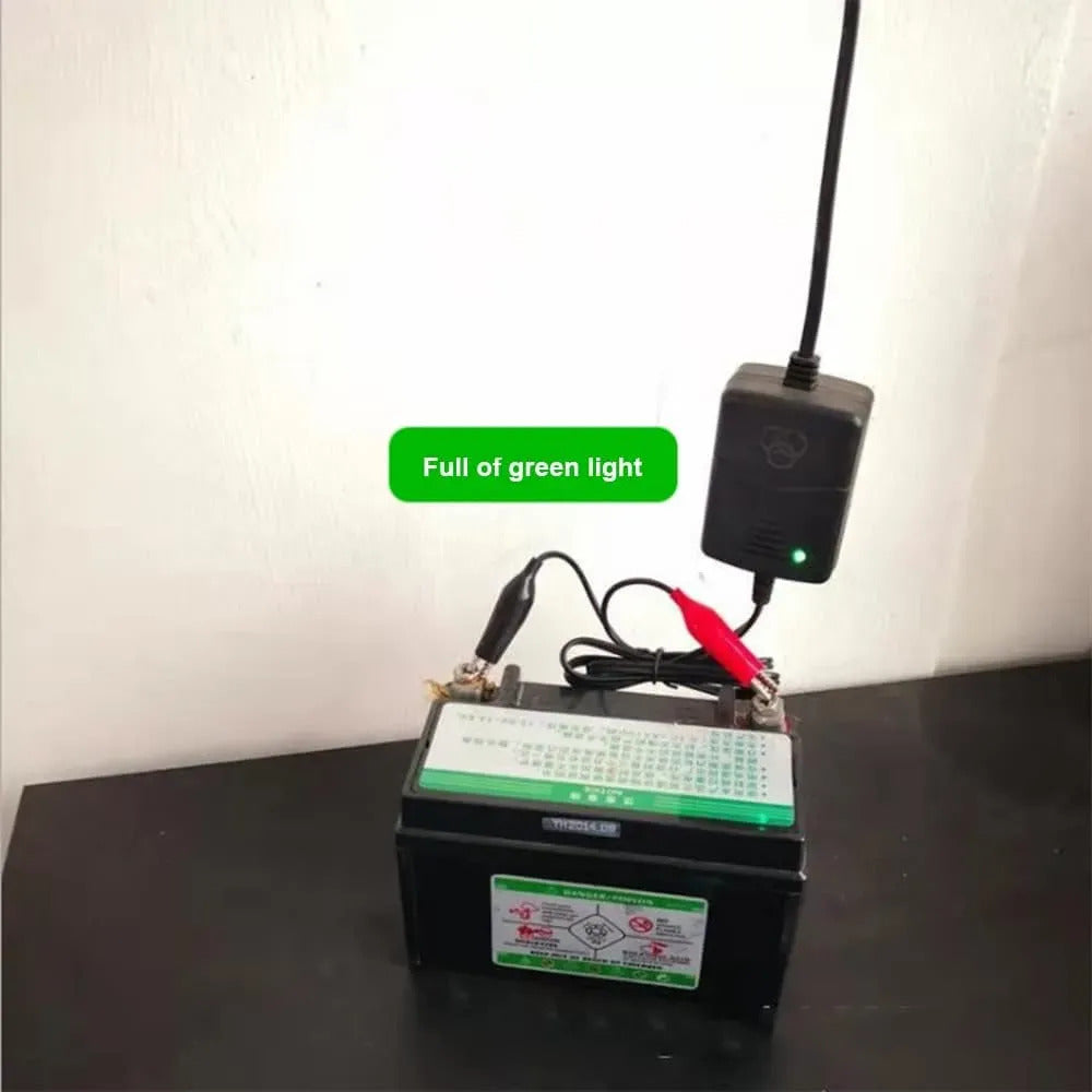 Cargador De 12v Caimán Para Pilas De Steren 12volts