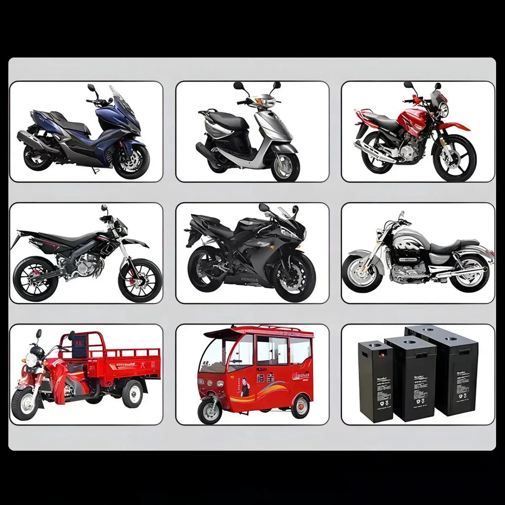 Cargador De Baterias Para Carritos Electricos 12v Y 6v
