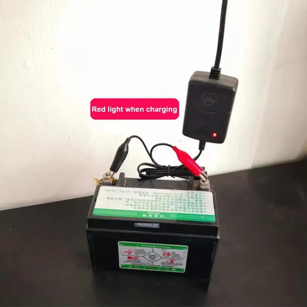 Cargador De 12v Caimán Para Pilas De Steren 12volts