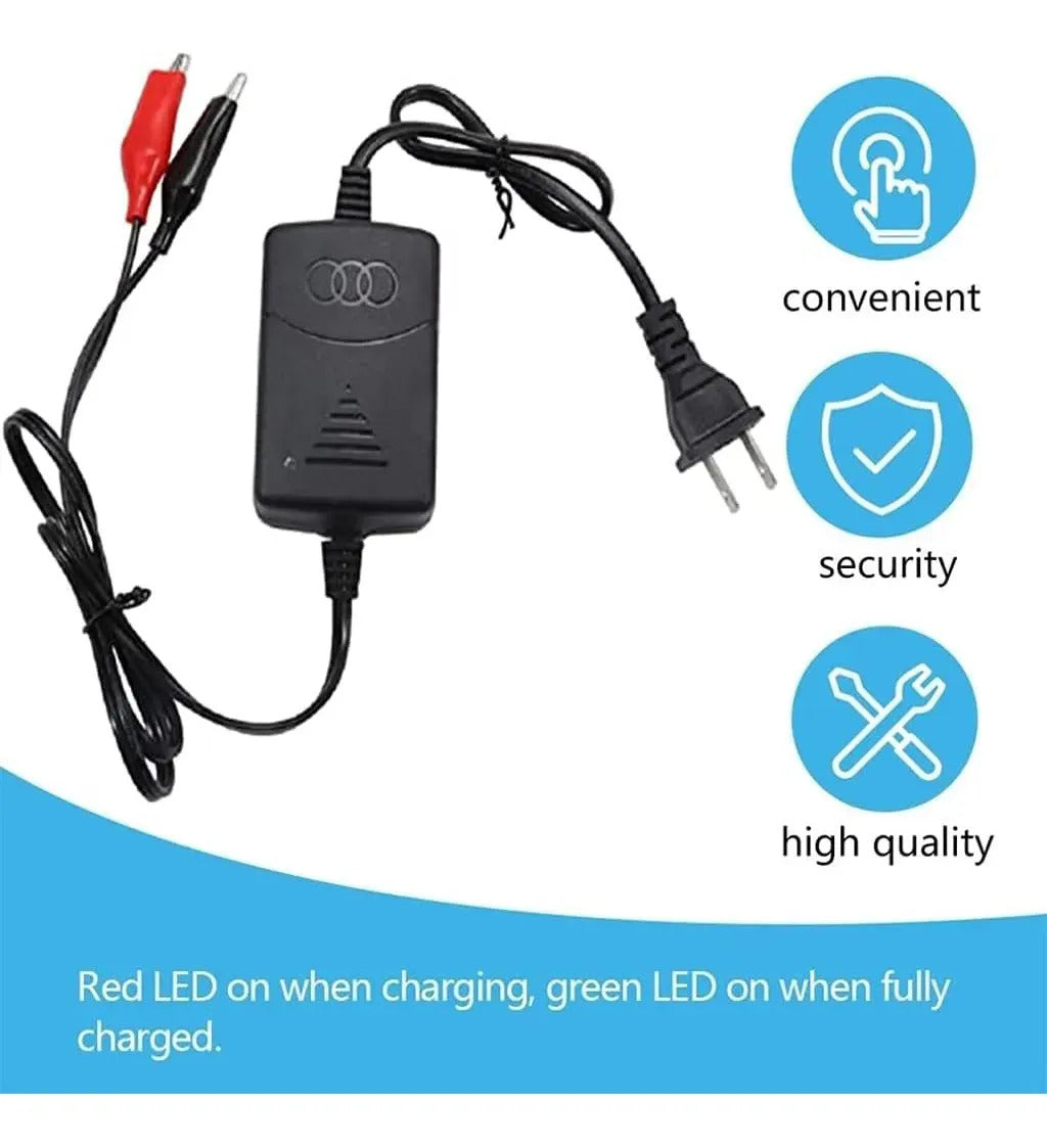 Cargador De 12v Para Pilas De Steren 12volts